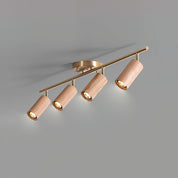 Pyrrhos - Adjustable Brass and Wood Track Light