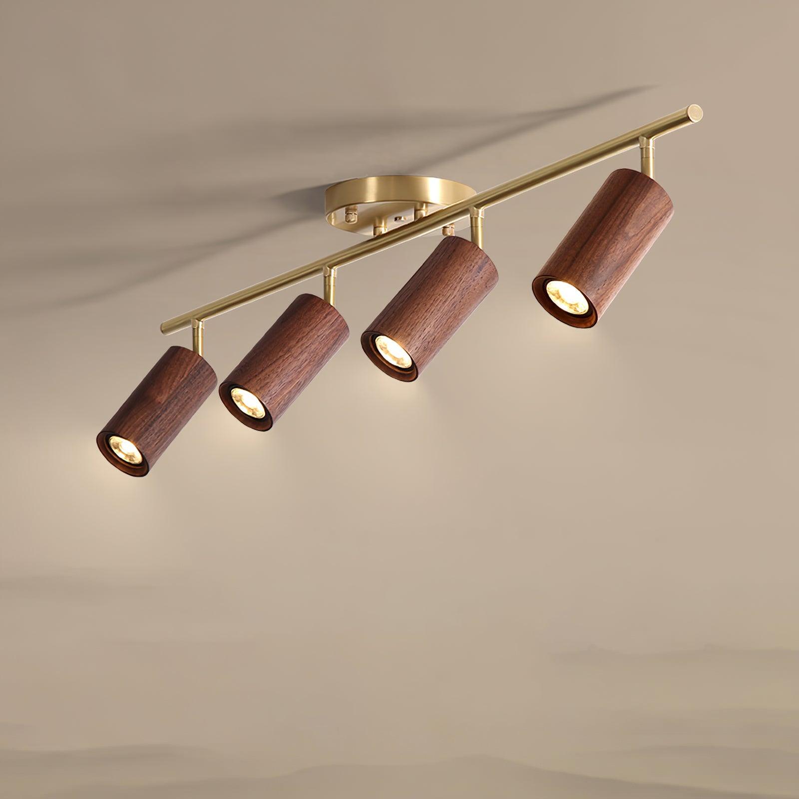 Pyrrhos - Adjustable Brass and Wood Track Light