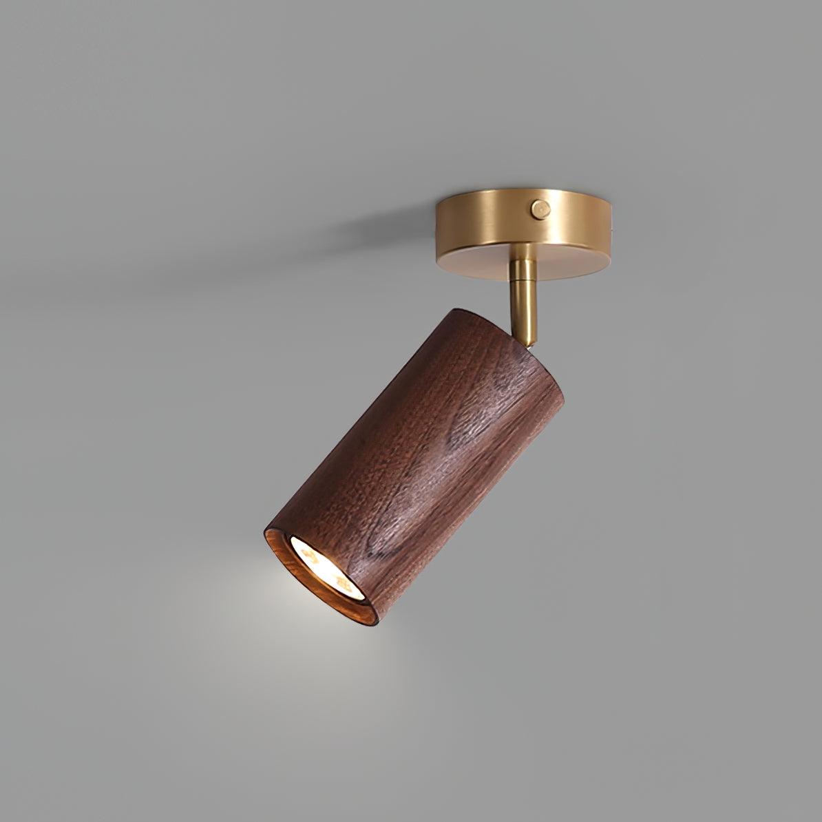Pyrrhos - Adjustable Brass and Wood Track Light