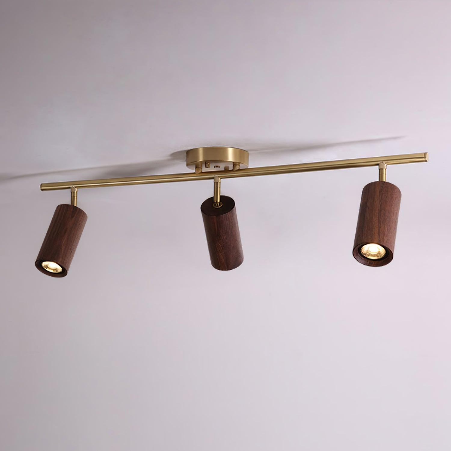 Pyrrhos - Adjustable Brass and Wood Track Light