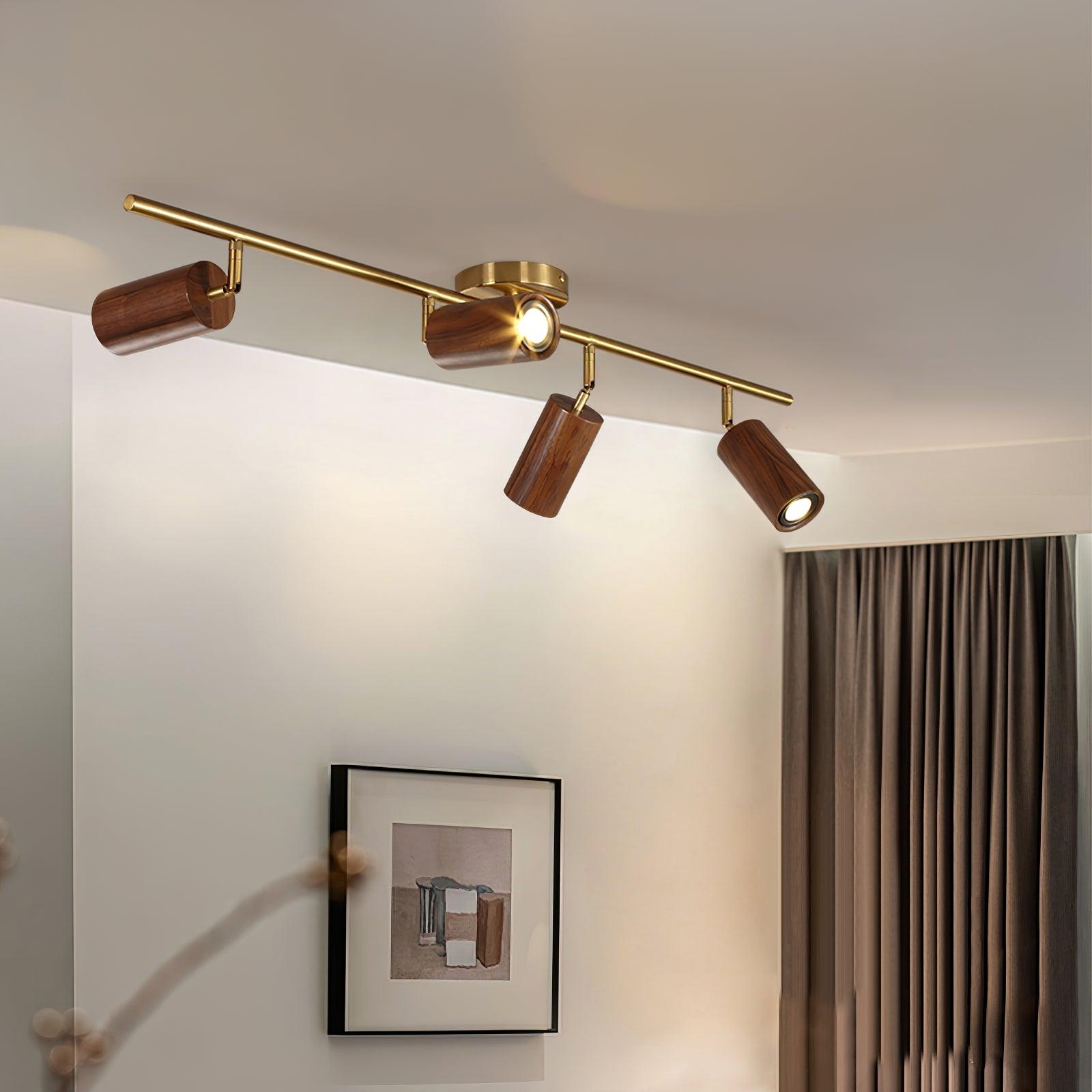 Pyrrhos - Adjustable Brass and Wood Track Light