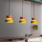 Amaryllis - Colorful Two-Tone Pendant Light