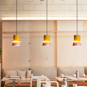 Amaryllis - Colorful Two-Tone Pendant Light