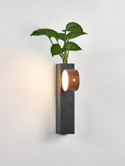 Morpheus - Black Travertine Planter Sconce