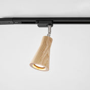 Aristaios - Wood and Steel Track Lighting