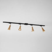 Aristaios - Wood and Steel Track Lighting