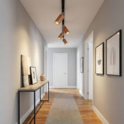 Aristaios - Wood and Steel Track Lighting
