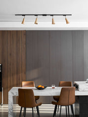 Aristaios - Wood and Steel Track Lighting