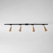 Aristaios - Wood and Steel Track Lighting