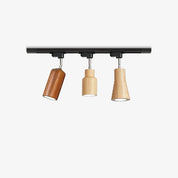 Aristaios - Wood and Steel Track Lighting