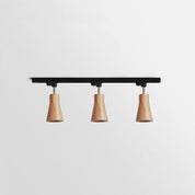 Aristaios - Wood and Steel Track Lighting