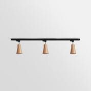 Aristaios - Wood and Steel Track Lighting