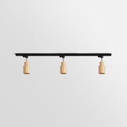 Aristaios - Wood and Steel Track Lighting