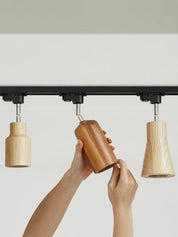 Aristaios - Wood and Steel Track Lighting