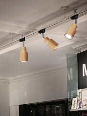 Aristaios - Wood and Steel Track Lighting