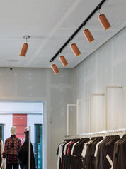 Aristaios - Wood and Steel Track Lighting