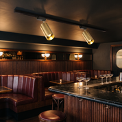 Chrysaor - Gilded Rail Track Light
