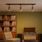 Aristaios - Wood and Steel Track Lighting