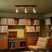 Aristaios - Wood and Steel Track Lighting