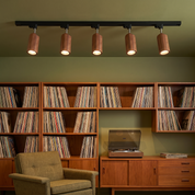 Aristaios - Wood and Steel Track Lighting