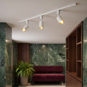 Telamon - Cylinder Track Light