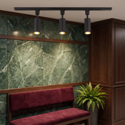 Telamon - Cylinder Track Light