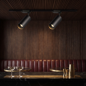 Chrysaor - Gilded Rail Track Light