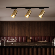 Chrysaor - Gilded Rail Track Light
