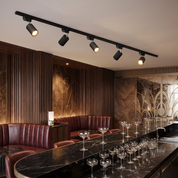 Chrysaor - Gilded Rail Track Light