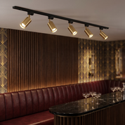 Chrysaor - Gilded Rail Track Light
